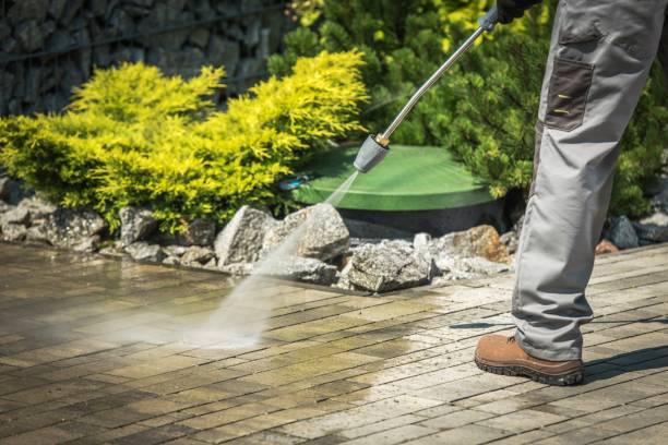 Best Roof Washing  in Vernon, WI